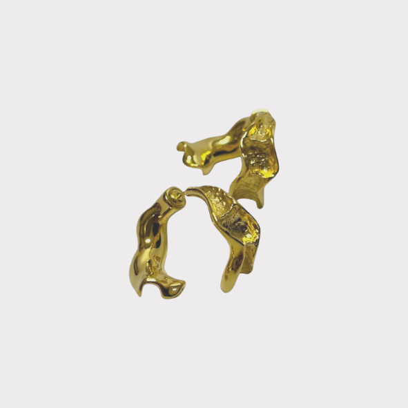 Amaila Gold Front/Back Earrings